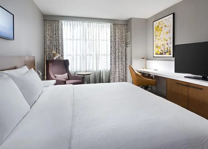 Hotel Hilton Garden Mccormick Place Chicago