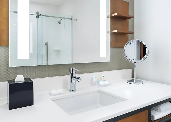 Hilton Garden Mccormick Place Hotel 3*