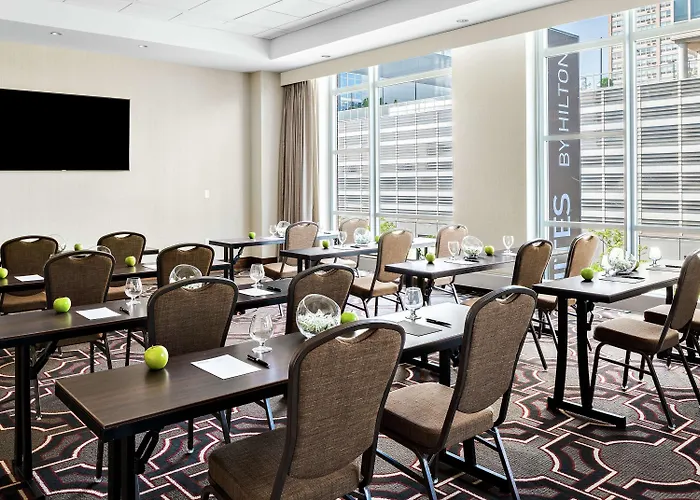 Hotel Hilton Garden Mccormick Place 3*