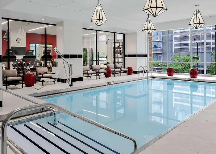 Hilton Garden Mccormick Place Hotel 3*