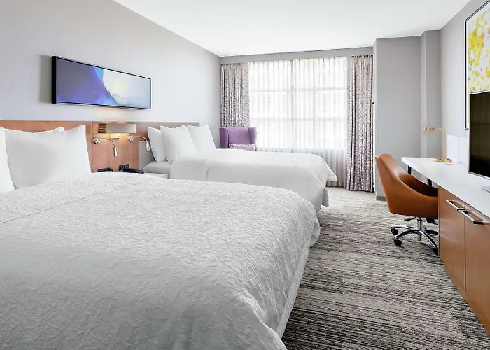 Hilton Garden Mccormick Place Hotel