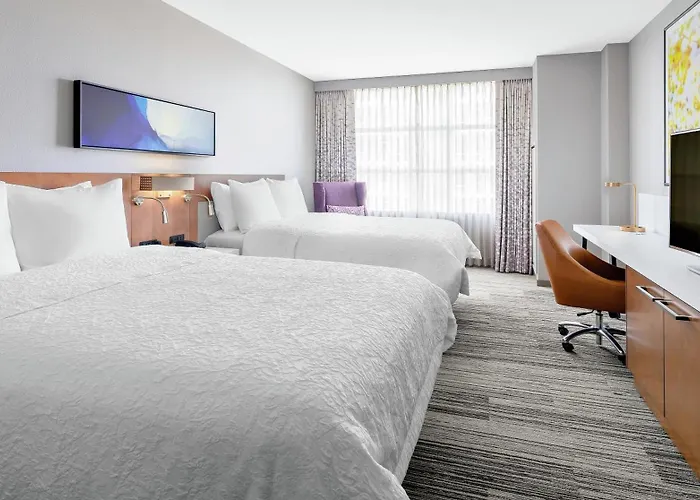 Hotel Hilton Garden Mccormick Place 3*