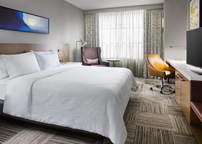 Hilton Garden Mccormick Place 3*