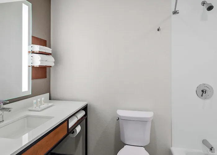 Hilton Garden Mccormick Place 3* Chicago
