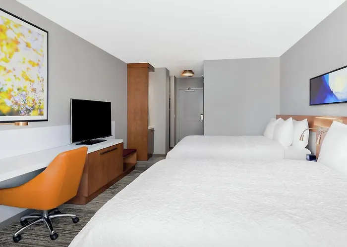 Hotel Hilton Garden Mccormick Place 3*