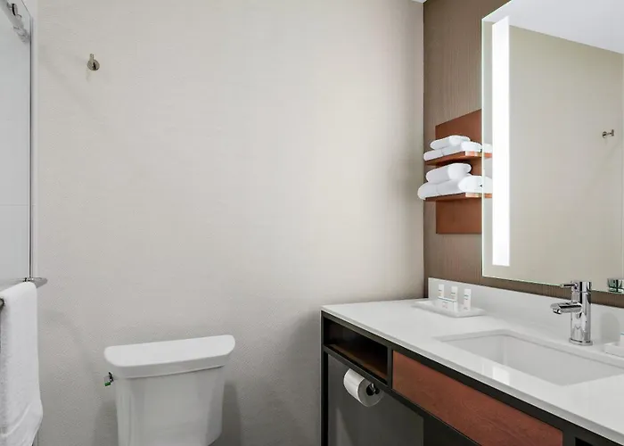 Hilton Garden Mccormick Place 3* Chicago
