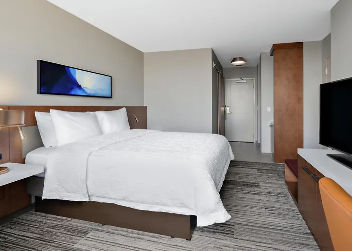 Hotel Hilton Garden Mccormick Place