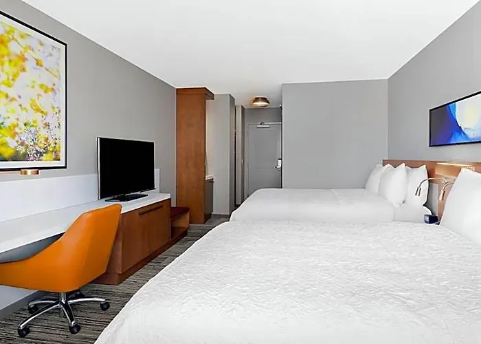 Hilton Garden Mccormick Place Hotel