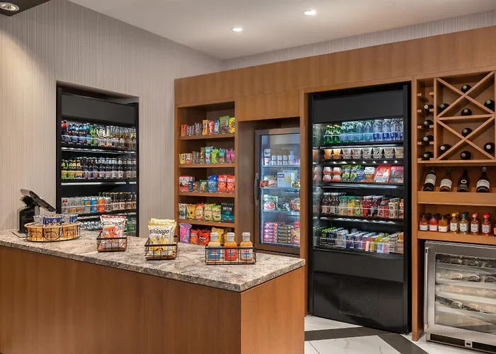 Hilton Garden Mccormick Place Hotel 3*