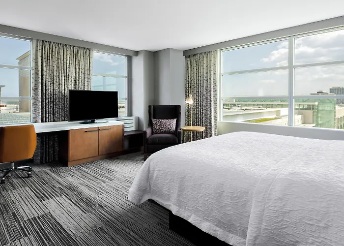 Hilton Garden Mccormick Place 3* Chicago